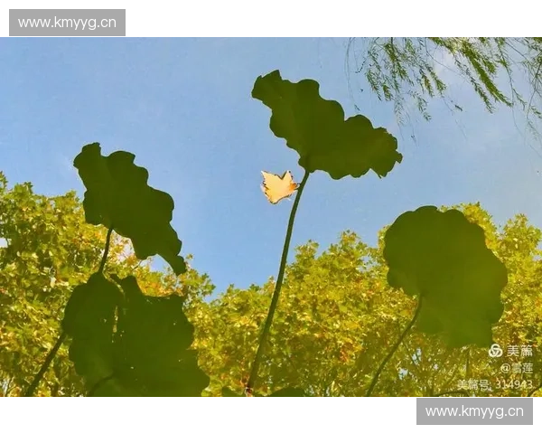 《回顾CSGO首场对战经典时刻：从初登场到成就电竞传奇》